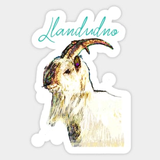 LLANDUDNO TURQUOISE Sticker